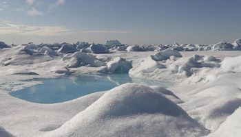 كارثة المواد البلاستيكية في القطبين الشمالي والجنوبي