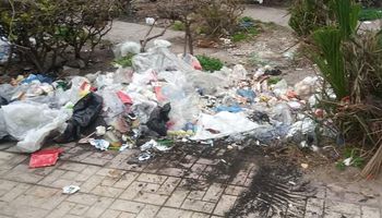  القمامة تحاصر الحدائق لعامة بالإسكندرية