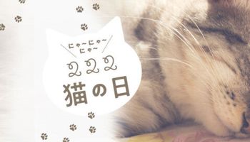 اليوم الوطني للقطط ففي اليابان 