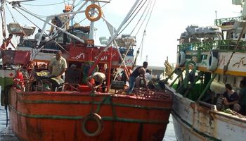 استئناف حركة الملاحة البحرية بميناء الصيد بالبرلس وبالبحر المتوسط 