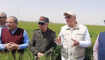 وزير الزراعة يتفقد أحد حقول القمح بأسوان ويؤكد أن المحصول بخير والدولة تدعم الاستثمار الاجنبي 