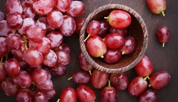تعرف على الفوائد الصحية لتناول العنب الأحمر.. أهمها يعزز صحة العظام  