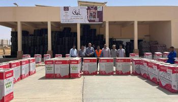 50 متطوع من 9 محافظات يشارك في أكبر قافلة خيرية "أنت الخير" بواحة سيوة
