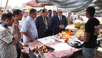 محافظ قنا يفاجئ شادر الخضروات والفاكهة بنجع حمادي 