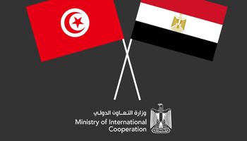 الجنة العليا المصرية التونسية