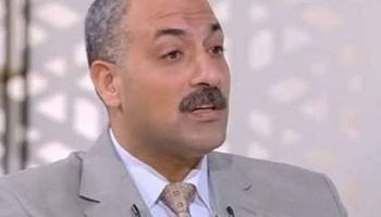 حاتم نجيب، نائب رئيس شعبة الخضروات والفاكهة باتحاد الغرف