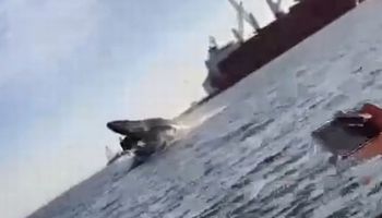  حوت عملاق يقفز من الماء ويهبط على قارب 