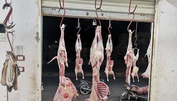 مواصلة العمل بمبادرة تخفيض الأسعار للحوم بواحة سيوة