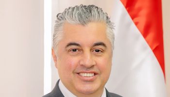 وليد جمال الدين نائب رئيس الهيئة العامة للمنطقة الاقتصادية