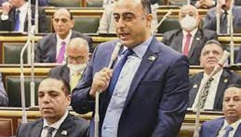 النائب محمد جبريل عضو مجلس النواب