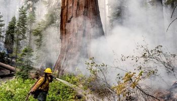 حريق بحديقة يوسمايت في كاليفورنيا  