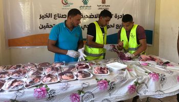 مؤسسة مصر الخير تذبح 15 رأس ماشية 