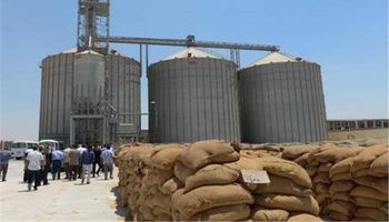 محافظ مطروح ... وردنا 3039 طن من محصول القمح لصومعة الشمامة بمدينة الحمام 