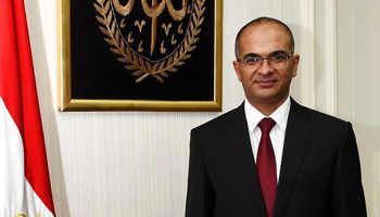 الدكتور سيد إسماعيل، نائب الوزير لشئون البنية الأساسية