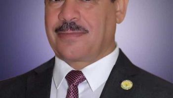 دكتور عبد العزيز طنطاوي رئيس جامعة الوادي الجديد