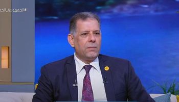 الدكتور سعيد حسانين استشاري التخطيط العمراني