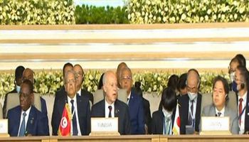 الرئيس التونسي فيس سعيد