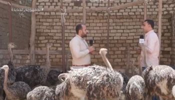 المهندس بهاء الدين مأمون صاحب مشروع لتربية الغزلان والنعام في المنزل بمحافظة الغربية