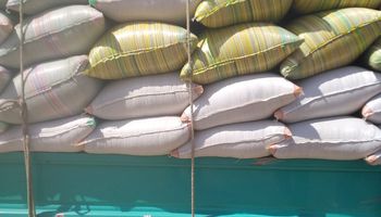 ضبط أرز شعير بكفر الشيخ قبل بيعه بالسوق السوداء