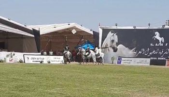 مهرجان الشرقية للخيول العربية الأصيلة