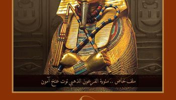 كتاب ذاكرة مصر 