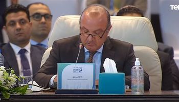رئيس المجلس التصديري للصناعات الغذائية: مصر تصدر 70 سلعة لجميع دول العالم