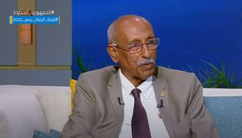 إبراهيم الميرغني عضو مجلس إدارة نقابة المستثمرين الصناعيين