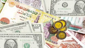 أسعار الدولار في مصر