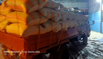 ضبط 88  طن أرز شعير و18 طن أرز  أبيض تم حجبها عن التداول لبيعها في السوق السوداء بكفر الشيخ