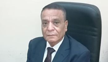 المستشار محمود البريرى رئيس المحكمة