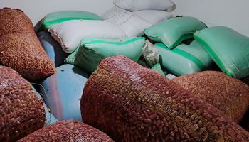 ضبط 25 طن أرز شعير داخل مخزن 