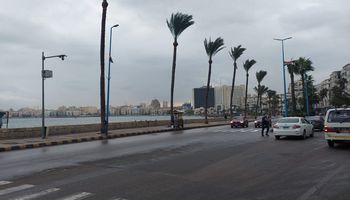 أمطار خفيفة على الاسكندرية 