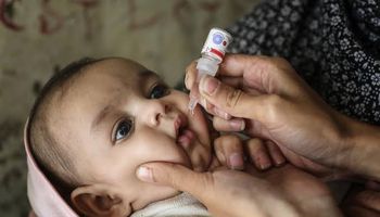 ١٢١ الف طفل مستهدف بالحملة القومية للتطعيم ضد شلل الأطفال بمطروح