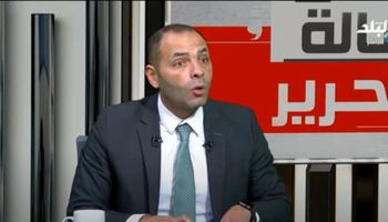 الخبير الاقتصادي أحمد أبو السعد