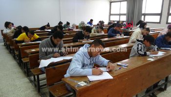 امتحانات جامعة المنيا