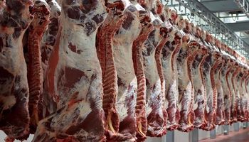  أسعار اللحوم اليوم الأحد 15 يناير 2023