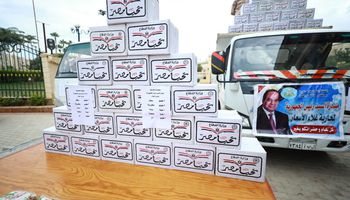 توزيع 1000 كرتونة «تحيا مصر» بنصف الثمن في بيلا والحامول بكفر الشيخ