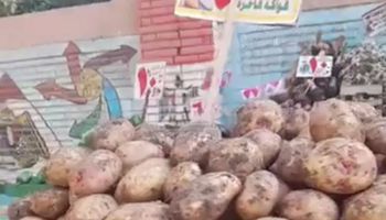 أسعار الخضروات في المنيا