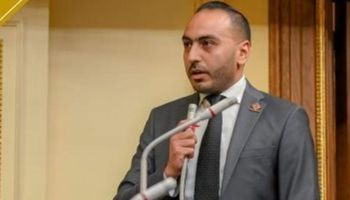 النائب محمد تيسير مطر أمين سر لجنة حقوق الإنسان بمجلس النواب