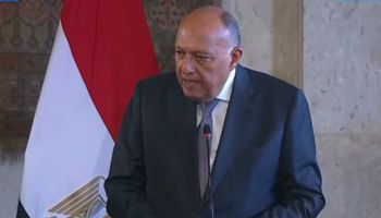 مؤتمر وزير خارجية مصر وأمريكا