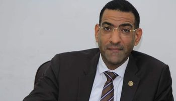 المهندس سامح الشيمي عضو مجلس الشيوخ