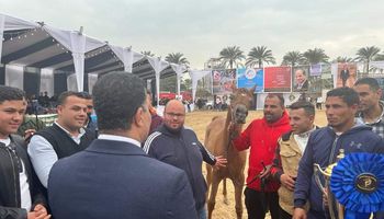 انطلاق فعاليات مهرجان البحيرة للخيول العربية 
