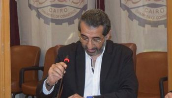 الدكتور عمرو السمدوني سكرتير شعبة النقل الدولي واللوجستيات
