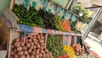 اسعار الخضروات والفاكهة في أسواق الفيوم 
