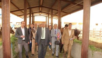 زيارة وكيل وزارة التربية والتعليم ببنى سويف لمدرسة الفشن الزراعية 