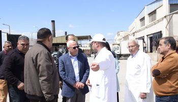 محافظ بورسعيد :  محطة تسمين الماشية ستشهد توفير مزيد من الخراف والماشية بأسعار مخفضة