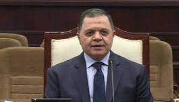 وزير الداخلية المصرى