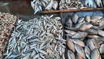 أسعار الأسماك في شم النسيم 
