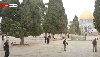 الجيش الاسرائيلي يقتحم المسجد الاقصى
