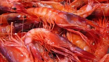 جمبري الفراولة